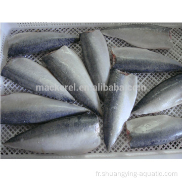 Chinois Fish Frozen Pacific Mackerel Filet pour supermarché